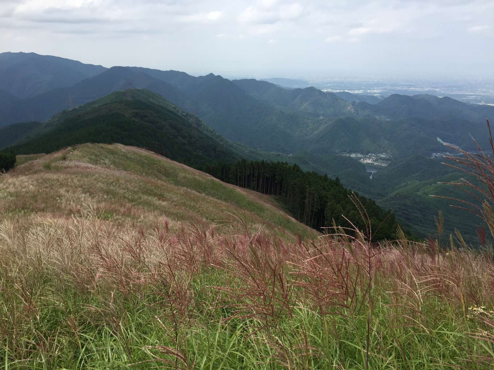 20150921-059.jpg