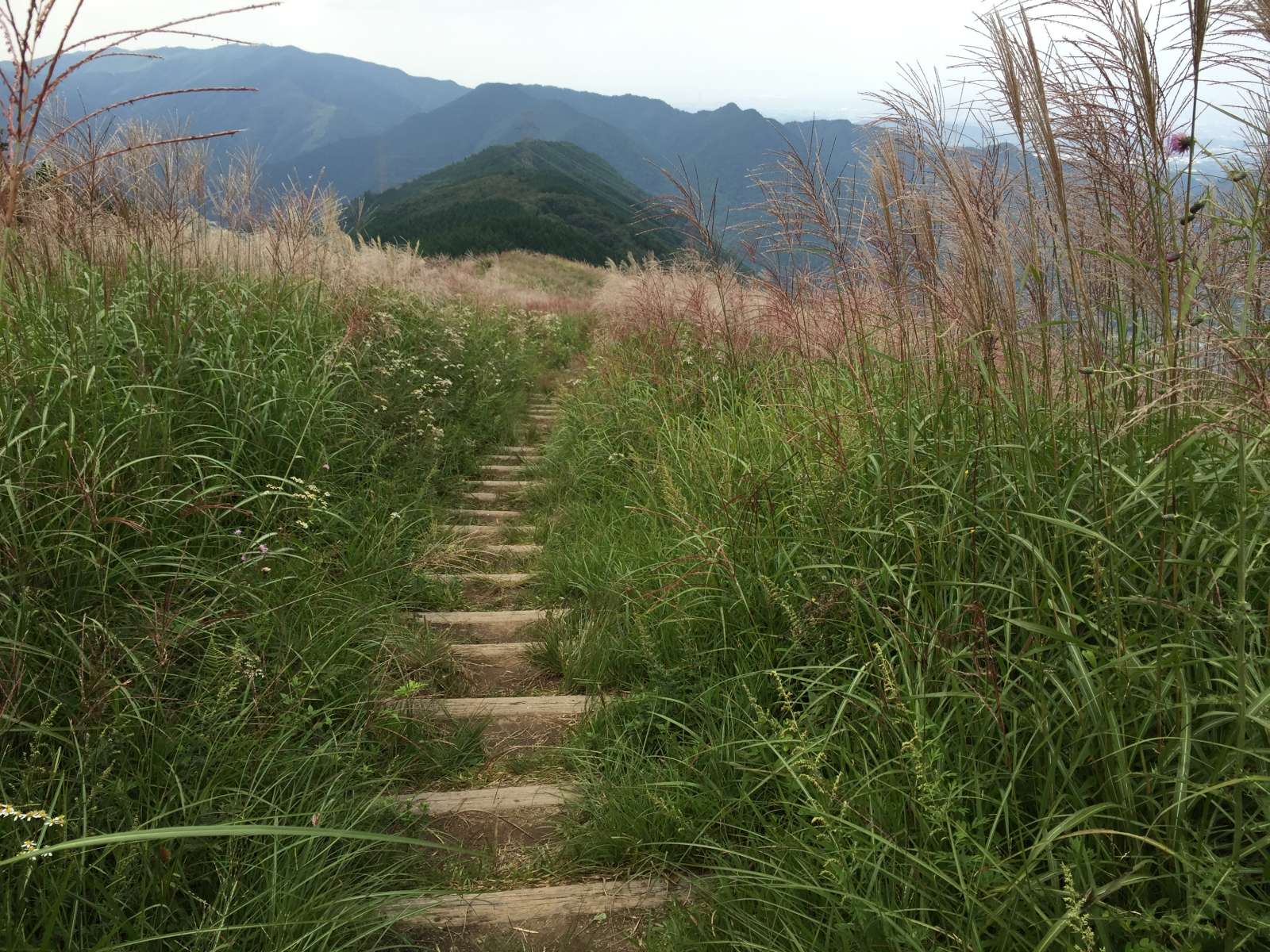 20150921-060.jpg
