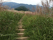 20150921-060_thumb.png