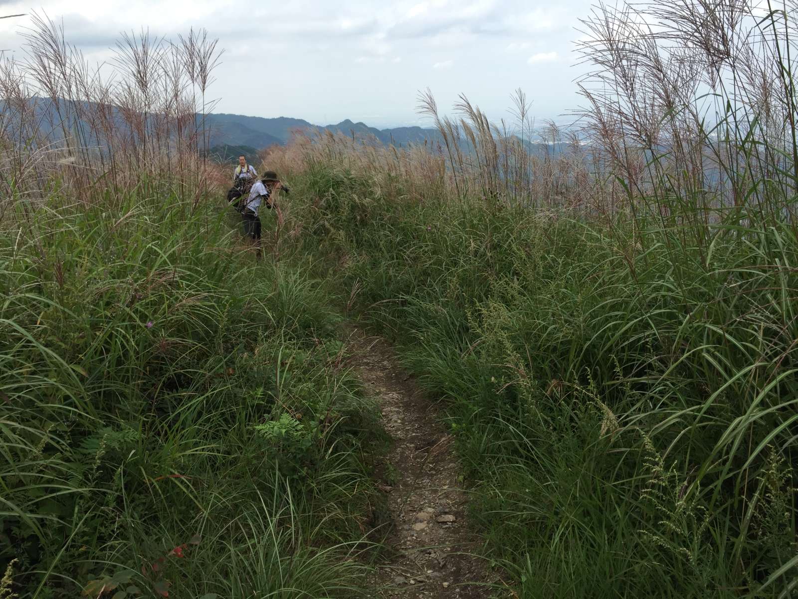 20150921-061.jpg