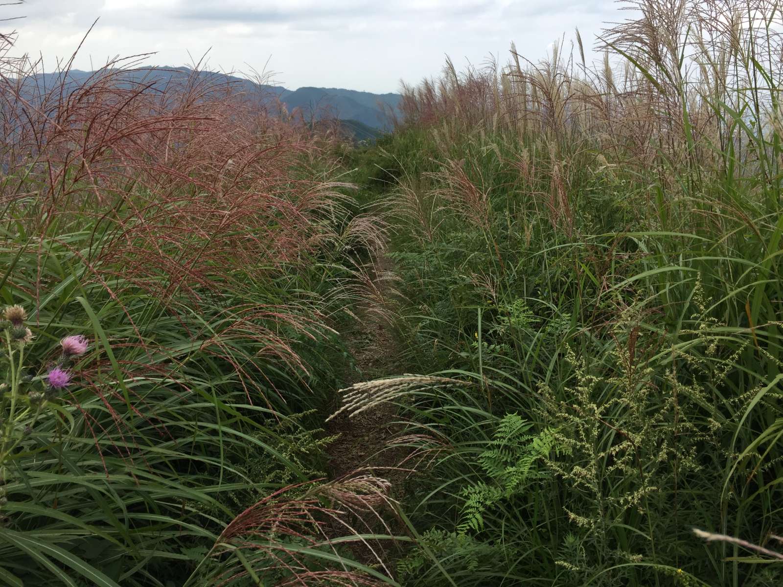 20150921-062.jpg