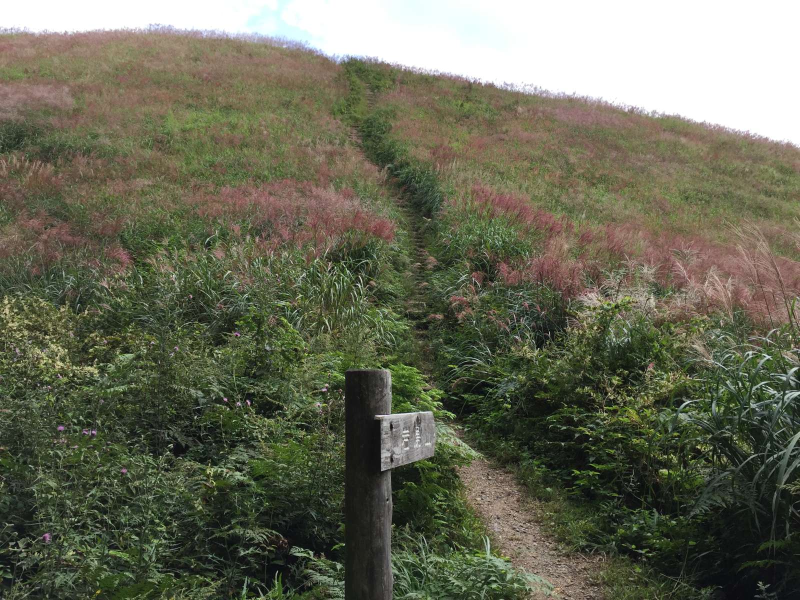 20150921-066.jpg