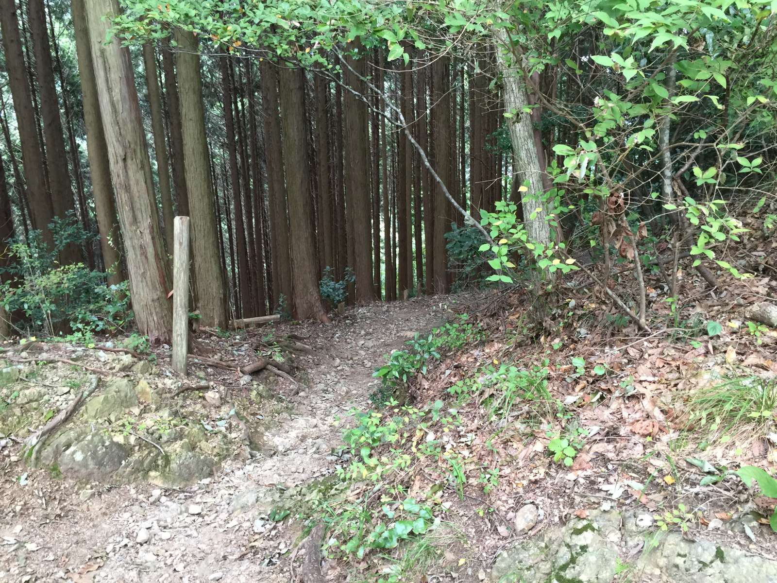 20150921-071.jpg