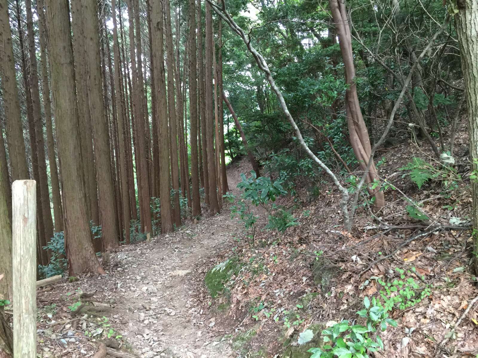 20150921-072.jpg