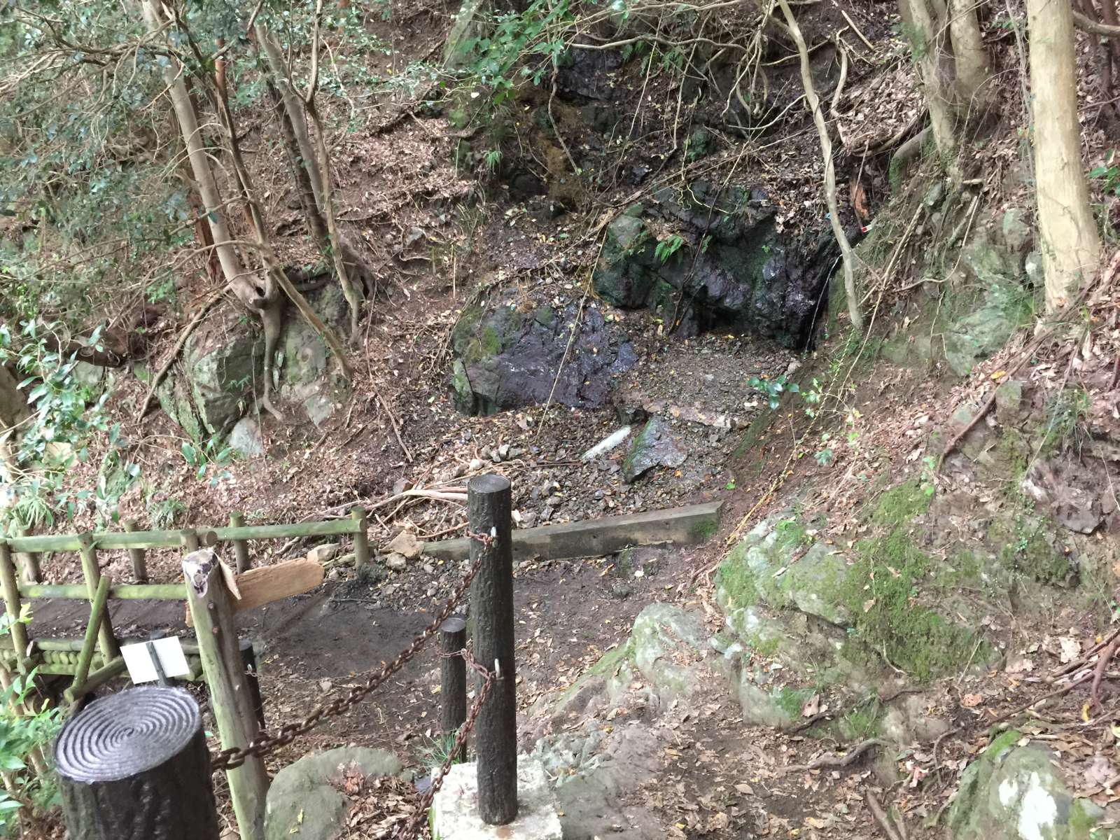20150921-075.jpg