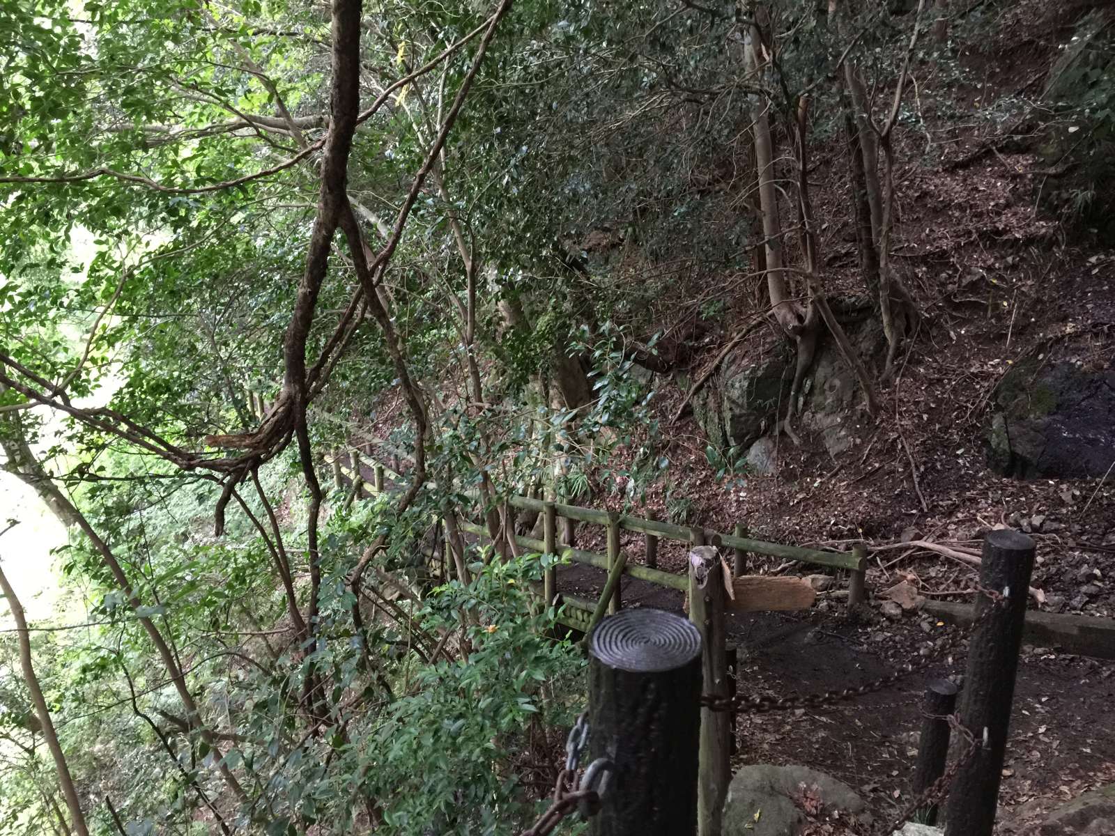 20150921-076.jpg