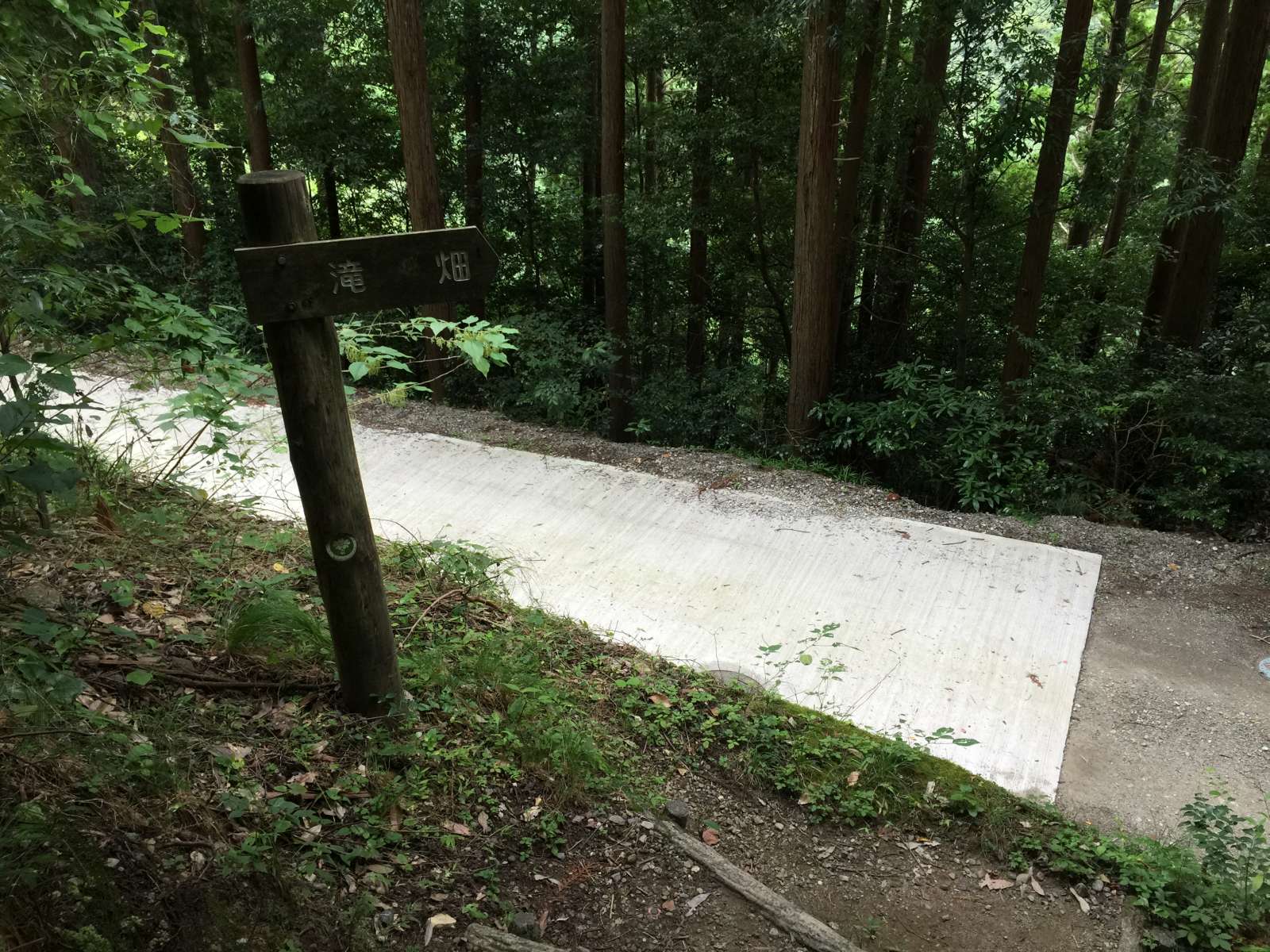 20150921-077.jpg