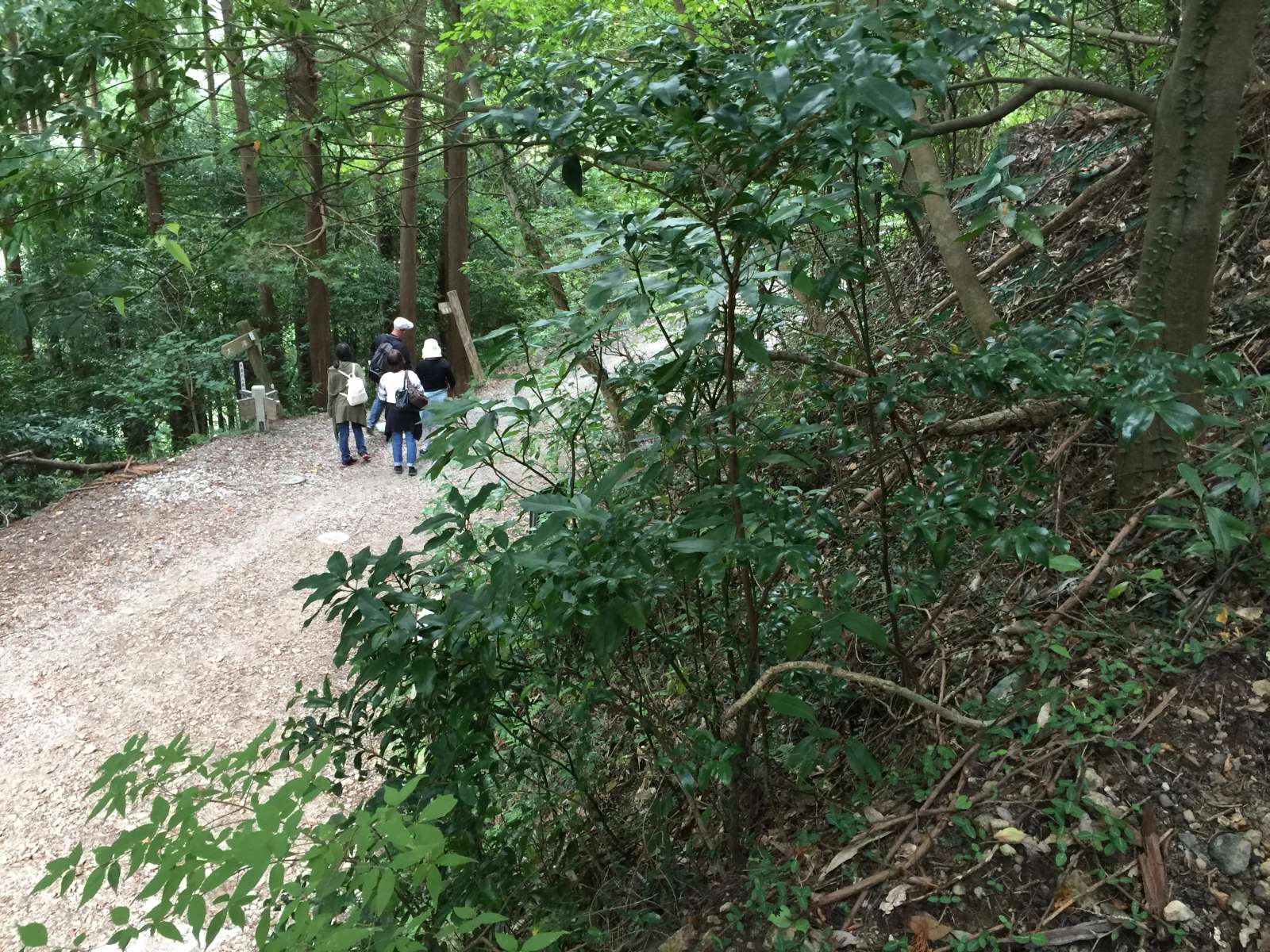 20150921-078.jpg