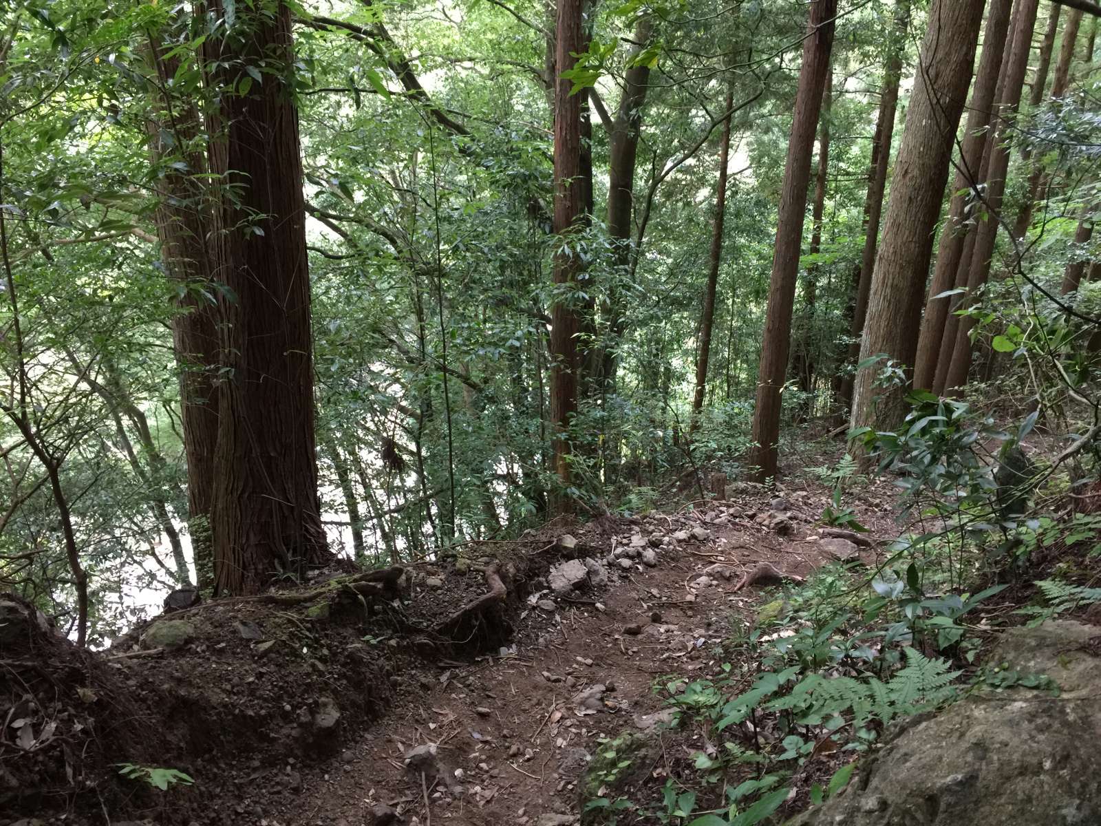 20150921-081.jpg