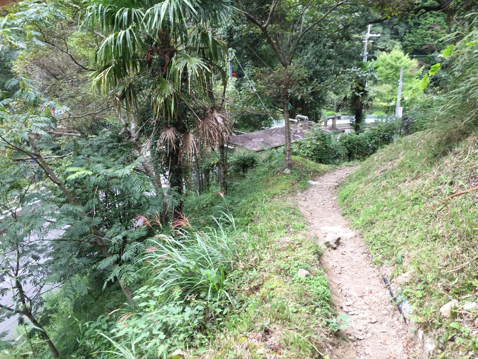 20150921-082.jpg