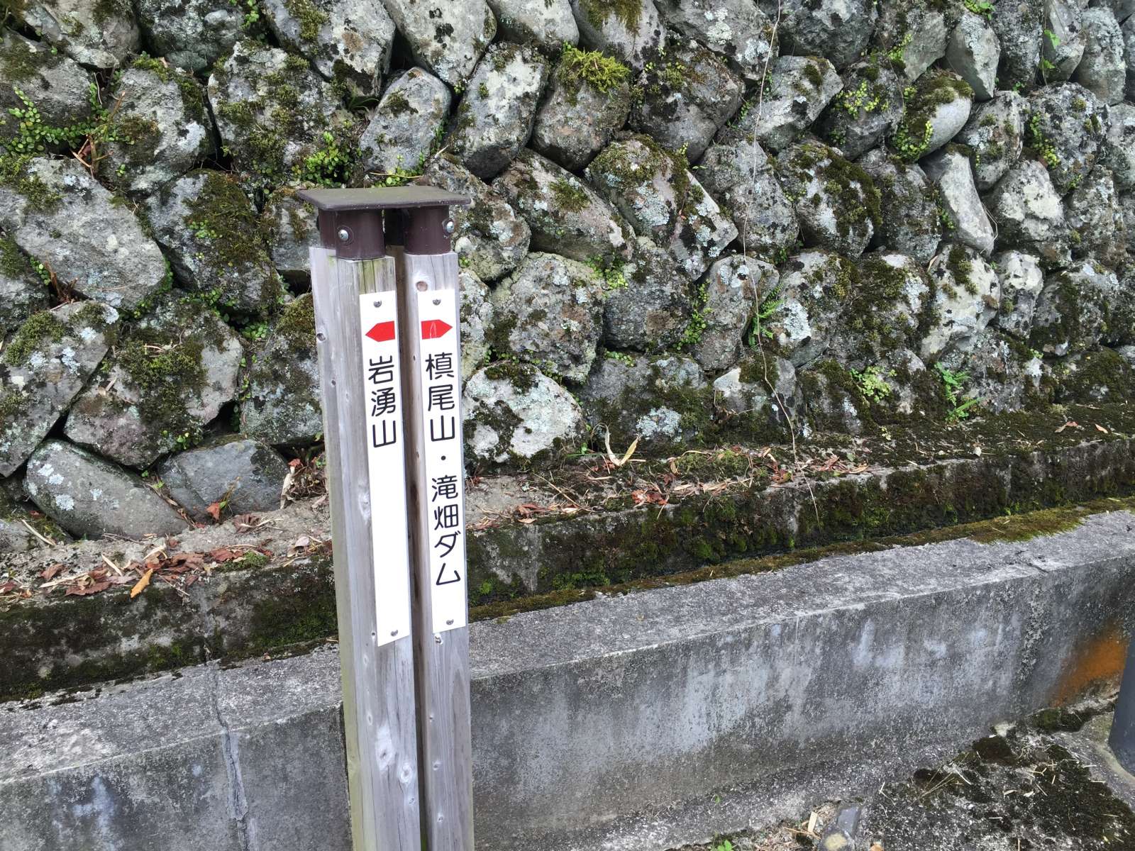20150921-102.jpg