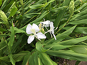 20150921-107_thumb.png
