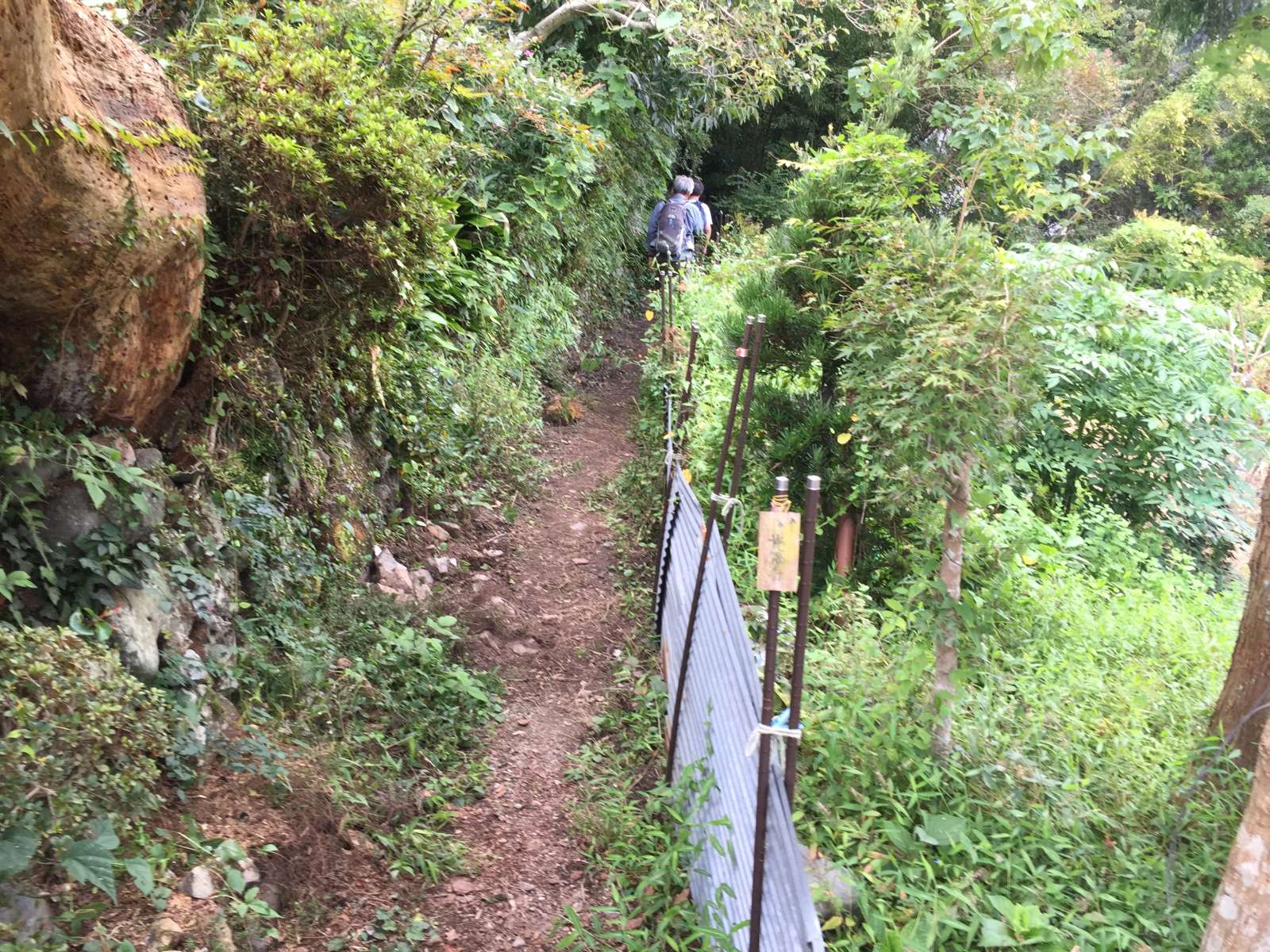 20150921-111.jpg