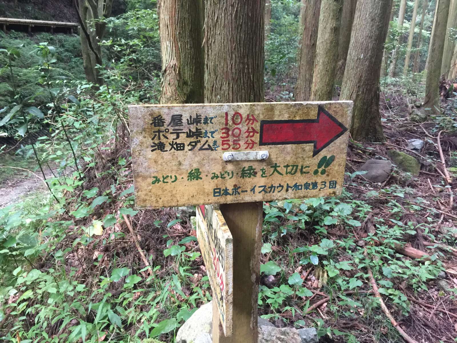 20150921-118.jpg