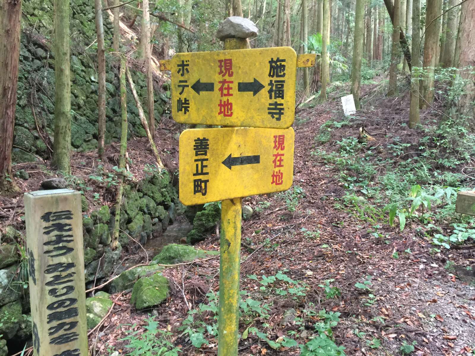 20150921-120.jpg