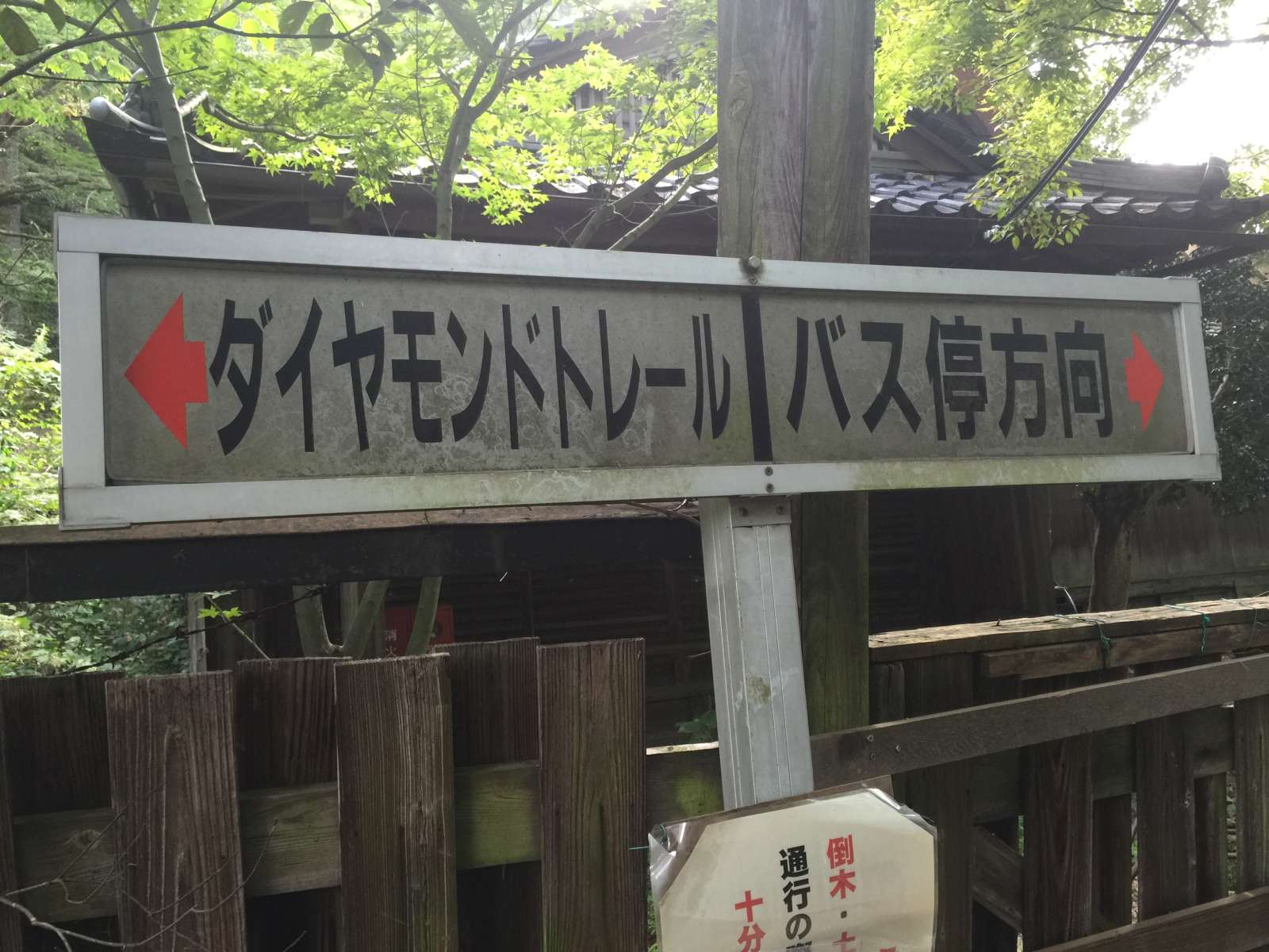 20150921-129.jpg