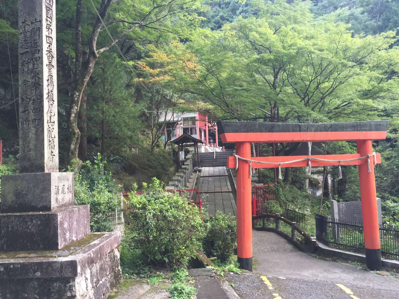 20150921-139.jpg