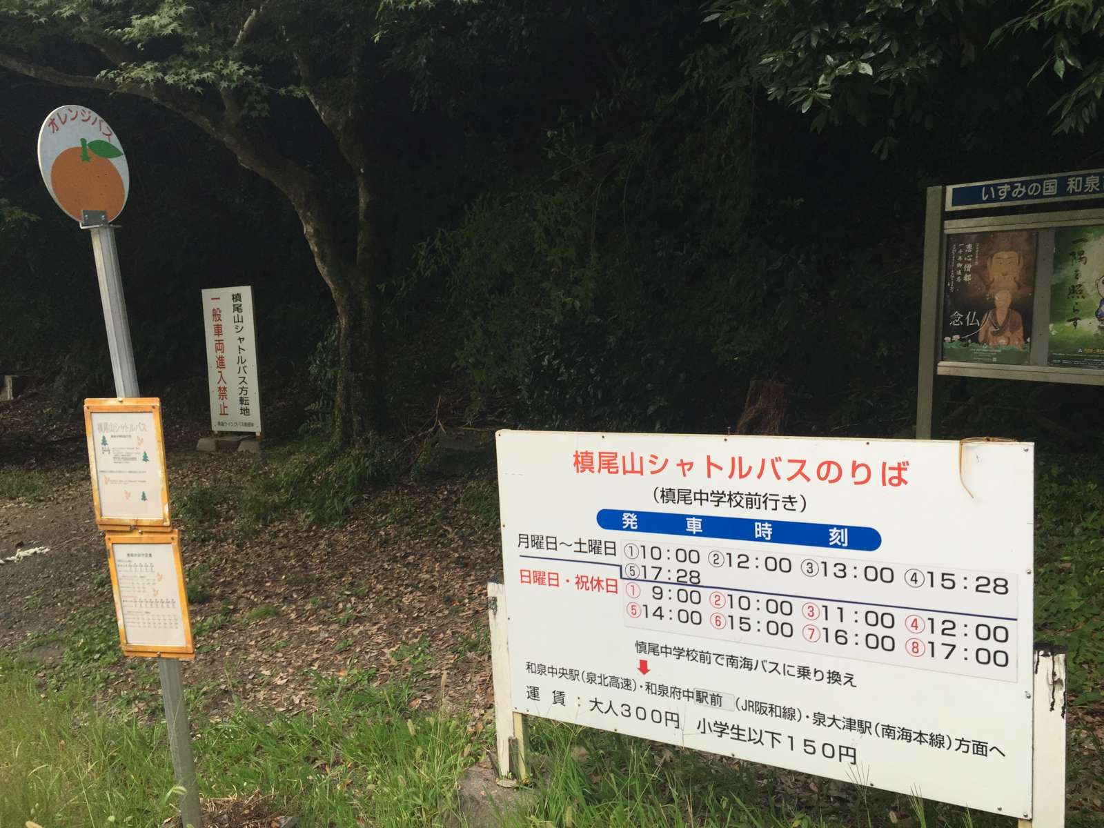 20150921-141.jpg