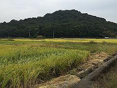 20151010-001_thumb.jpg