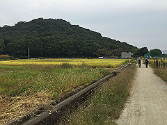 20151010-002_thumb.jpg