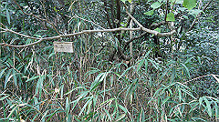 20151010-023_thumb.jpg
