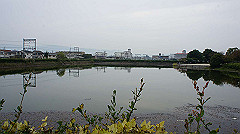 20151010-031_thumb.jpg