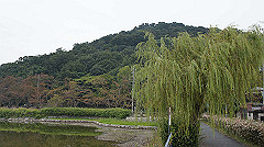 20151010-035_thumb.jpg