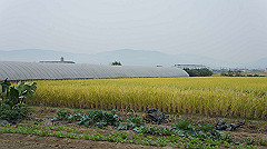 20151010-051_thumb.jpg