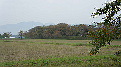 20151010-052_thumb.jpg