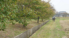 20151010-054_thumb.jpg