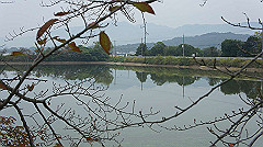 20151010-056_thumb.jpg