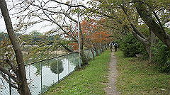 20151010-057_thumb.jpg