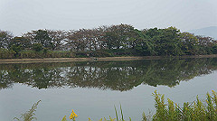 20151010-062_thumb.jpg