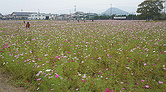 20151010-073_thumb.jpg