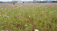 20151010-074_thumb.jpg
