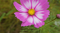 20151010-075_thumb.jpg