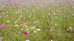 20151010-080_thumb.jpg