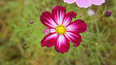20151010-083_thumb.jpg