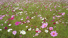 20151010-084_thumb.jpg