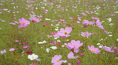 20151010-089_thumb.jpg