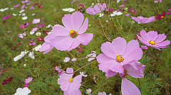20151010-091_thumb.jpg