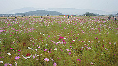 20151010-094_thumb.jpg