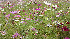 20151010-100_thumb.jpg