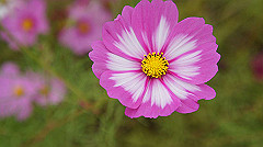 20151010-103_thumb.jpg