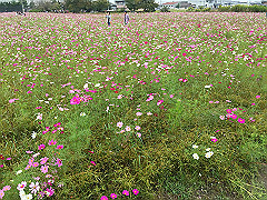 20151010-104_thumb.jpg