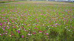 20151010-108_thumb.jpg
