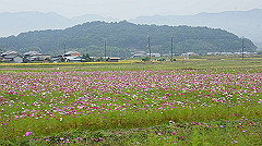 20151010-111_thumb.jpg