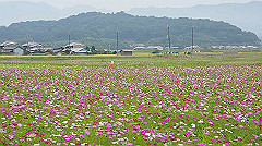 20151010-112_thumb.jpg