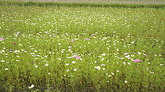 20151010-117_thumb.jpg