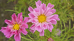 20151010-120_thumb.jpg